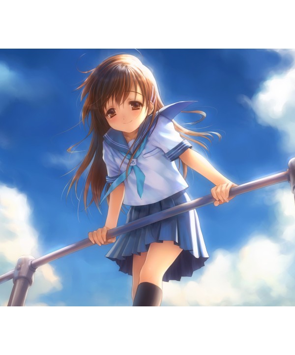 Narcissu 10th Anniversary Anthology Project Steam Key GLOBAL